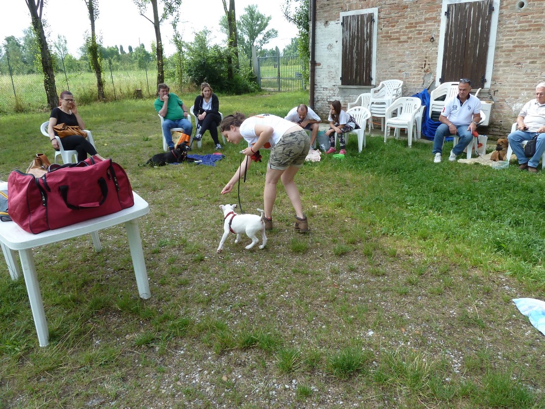 foto37